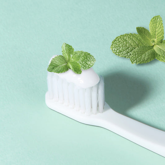 [Bouquet Garni] Refreshing Toothpaste FRESH MINT